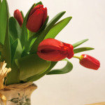 Bouquet de tulipanes en jarrita-det1-Rebolledo floristas