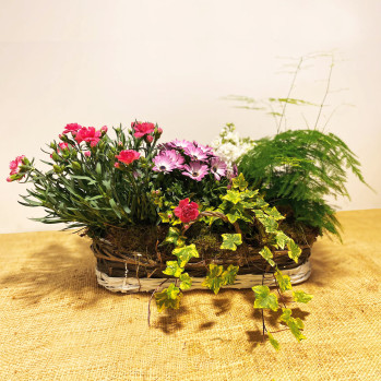 Cesta de mimbre con plantas de exterior de temporada-Rebolledo Floristas