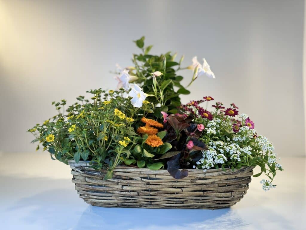 composición de flores primaverales en cesta de mimbre rectangular