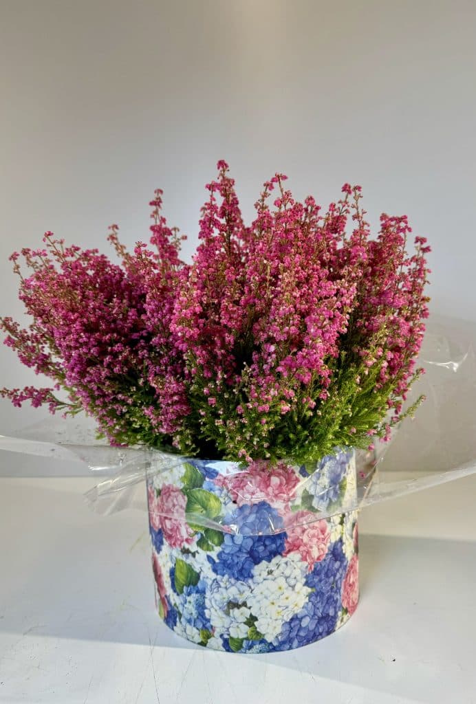 colorida bombonera con flor de brezo