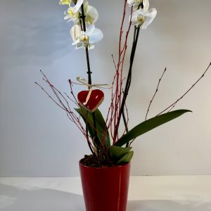 orquídea en cerámica roja, con tallos de abedul y un corazón rojo