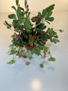 02_Valdaliga (5)