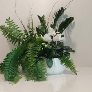 Composición en cerámica de plantas de exterior