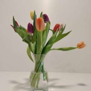 Tulipanes oferta