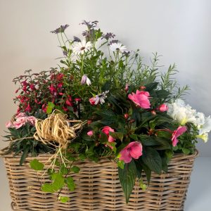 Cesta con plantas de exterior