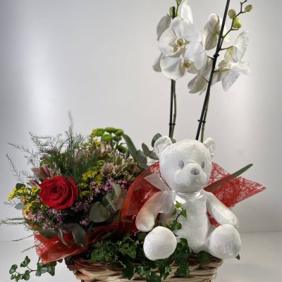 composición para San Valentín de orquídeas, bouquet silvestre y peluche en una cesta de mimbre