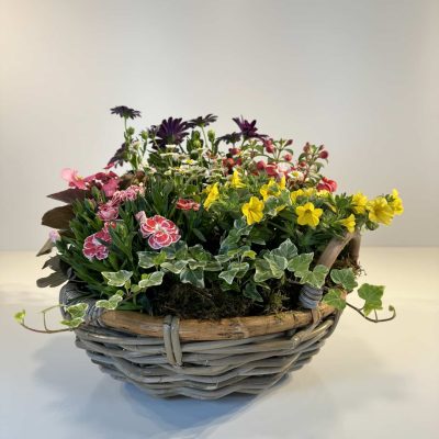 plantas coloridas variadas en cesta redonda de mimbre