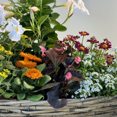 composición de flores primaverales en cesta de mimbre rectangular