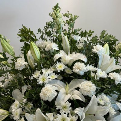 06_Elines- (3)