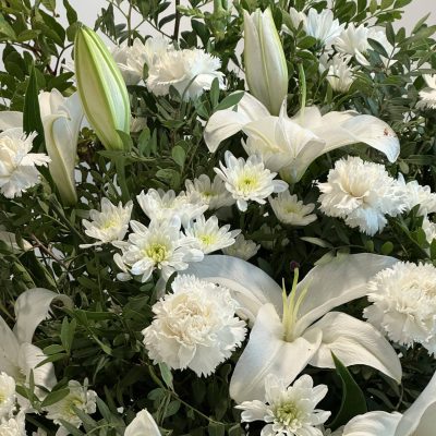 06_Elines- (4)