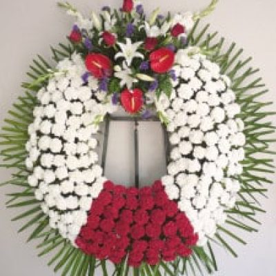 09_Bareyo 2 (1)
