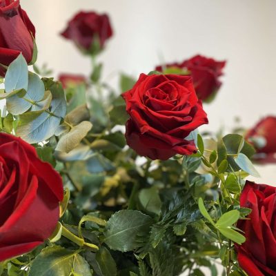Rosas rojas con ramaje verde variado.