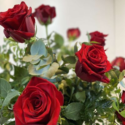 Ramo de rosas rojas con ramaje verde.