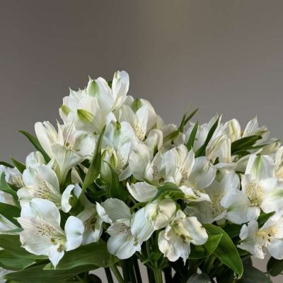 Jarra decorada con limones y bouquet de alstroemeria blanca