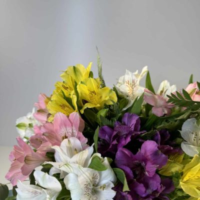 Ramo de Alstroemeria en colores variados