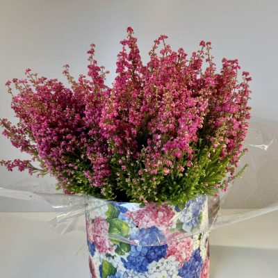 colorida bombonera con flor de brezo