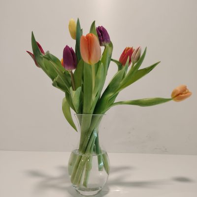 WhatsApp Image 2026-02-24 at 18.51.52 (3)