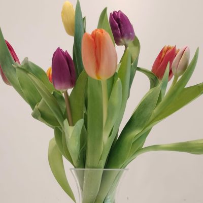 WhatsApp Image 2026-02-24 at 18.51.52 (4)